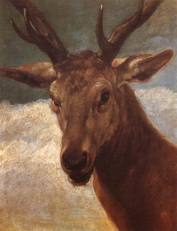 VELAZQUEZ, Diego Rodriguez de Silva y Deer oil painting image